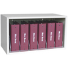 Omnimed Cubical Storage Rack with Locking Panel Holds 6 Binders up to 3.5" D 266006_010